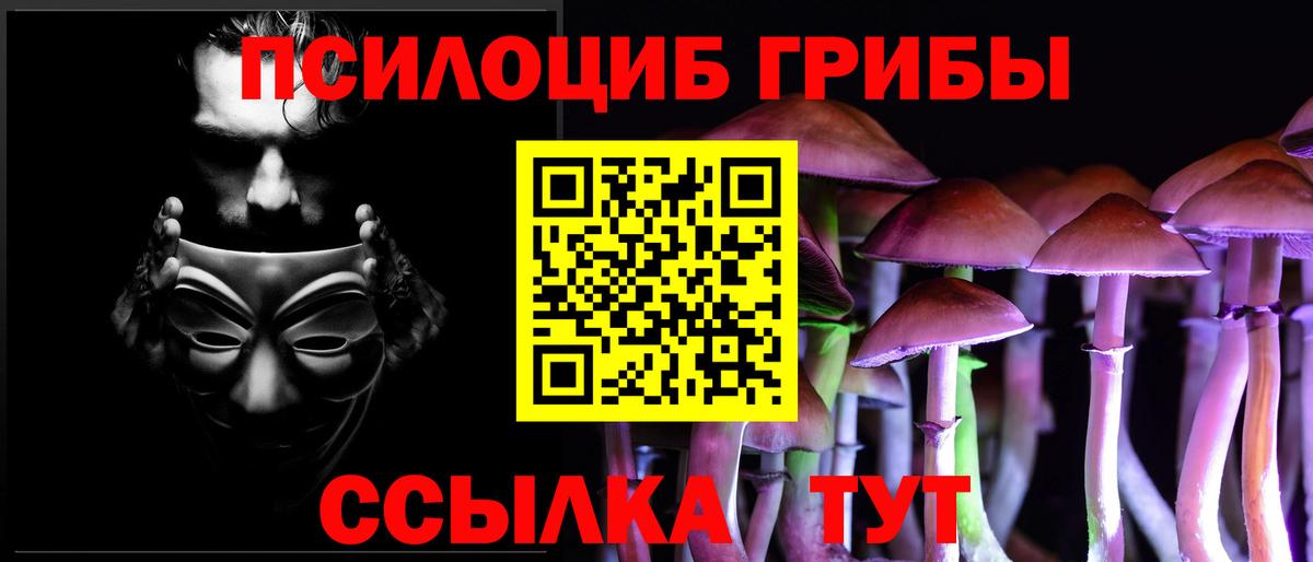 Псилоцибиновые грибы MAGIC MUSHROOMS  Вход с VPN  Севастополь 